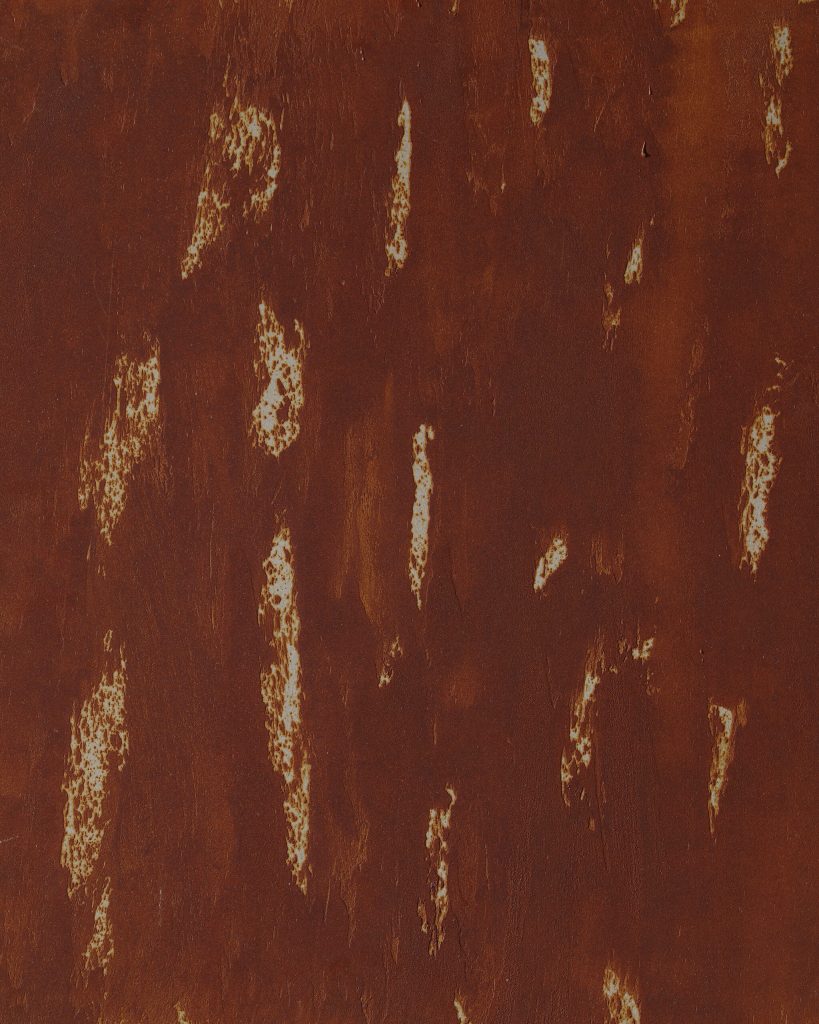 Rust Effect Metalic Pain Silver